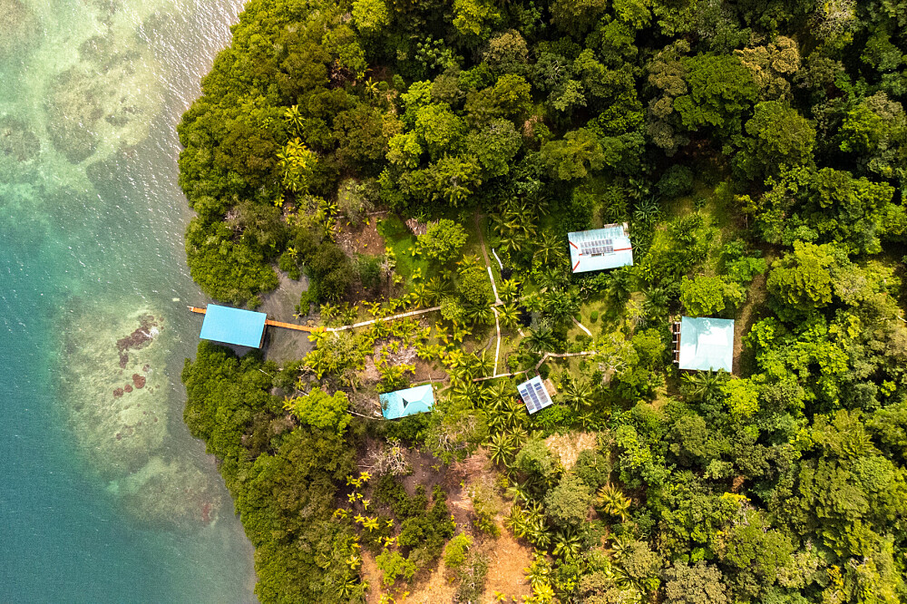 6-tägiges Lunar Jungle Collective: Astro-Yoga-Intensivkurs in Panama