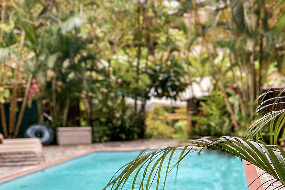 6 Day Yoga and Surfing Retreat at Vida Asana, Costa Rica