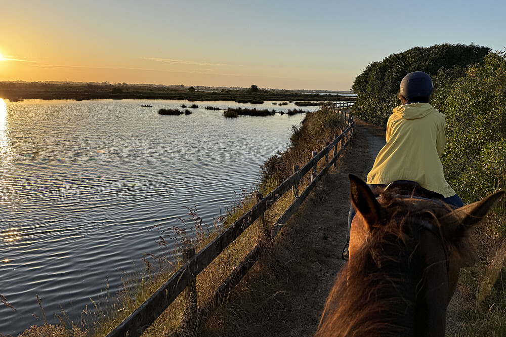 Vierdaagse paardrijtocht in een uniek natuurreservaat in Portugal