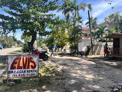 Elvis Car Rental & Tours