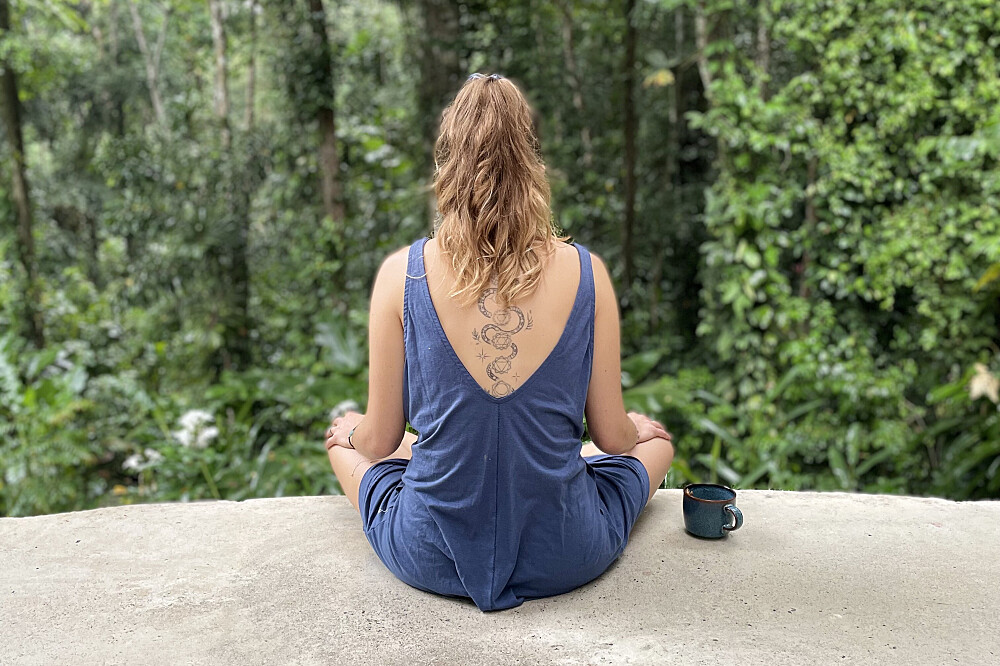 14-daagse privé-retraite met een 1-op-1 masterclass in plantenvoeding in Costa Rica