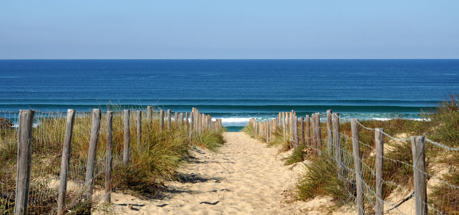 Escf Ecole De Surf Cap-Ferret