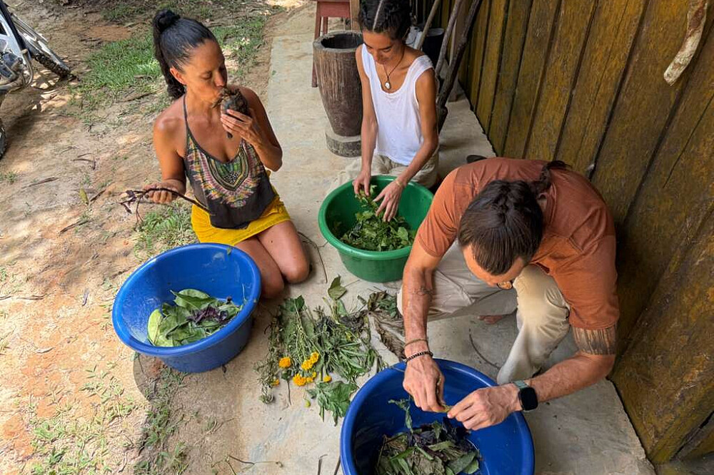 10-tägiges Retreat zur Ernährung unserer Vorfahren: Der Weg der Meisterpflanzen in Peru