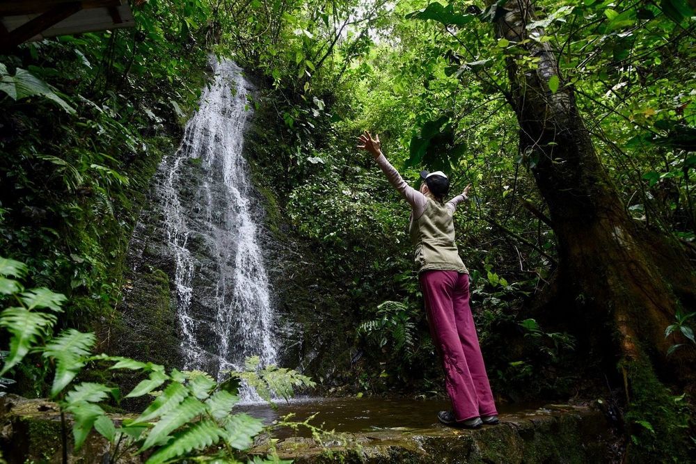 8-daagse cruciale individuele detox-retraite in Ecuador