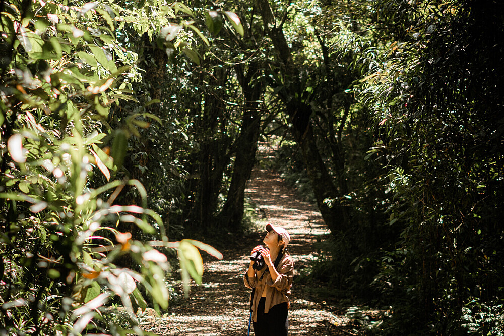 7-tägiger Luxus-Retreat im tropischen Regenwald, Yoga &amp; Wellness auf Bali