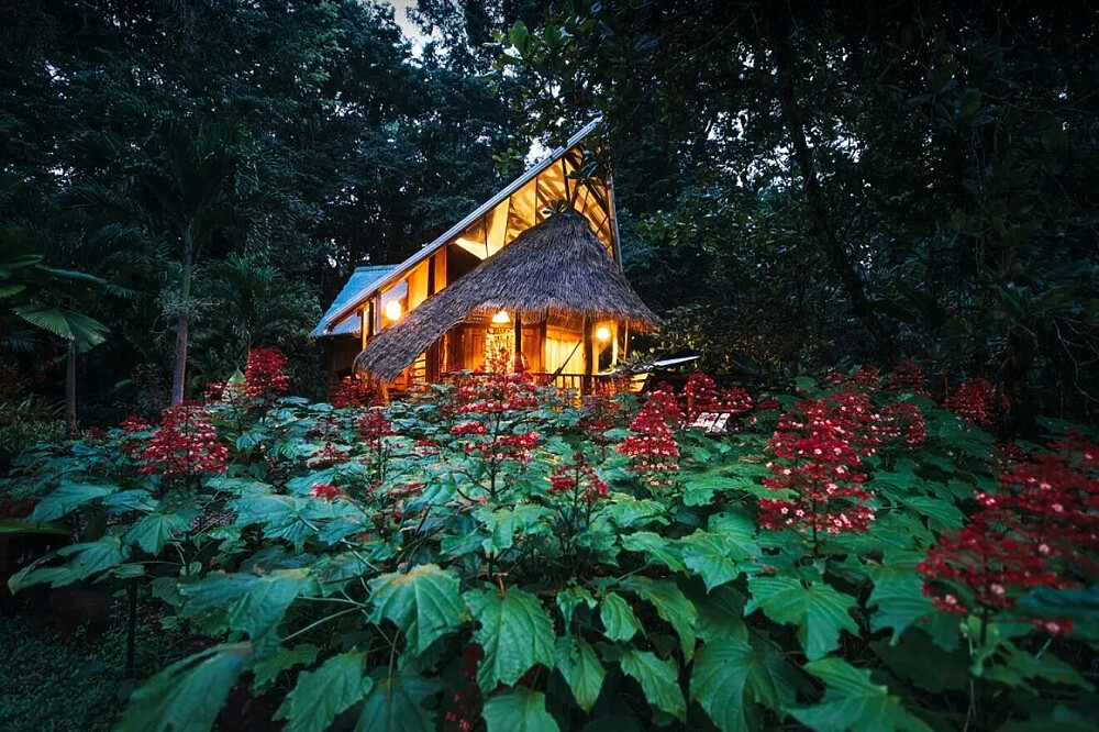 11-daagse herfst in de natuur: wellnessretraite voor vrouwen in Costa Rica