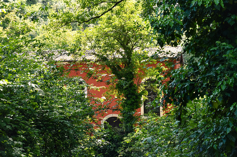 4 Day Full Yoga Immersion Retreat in Slow Life Italy