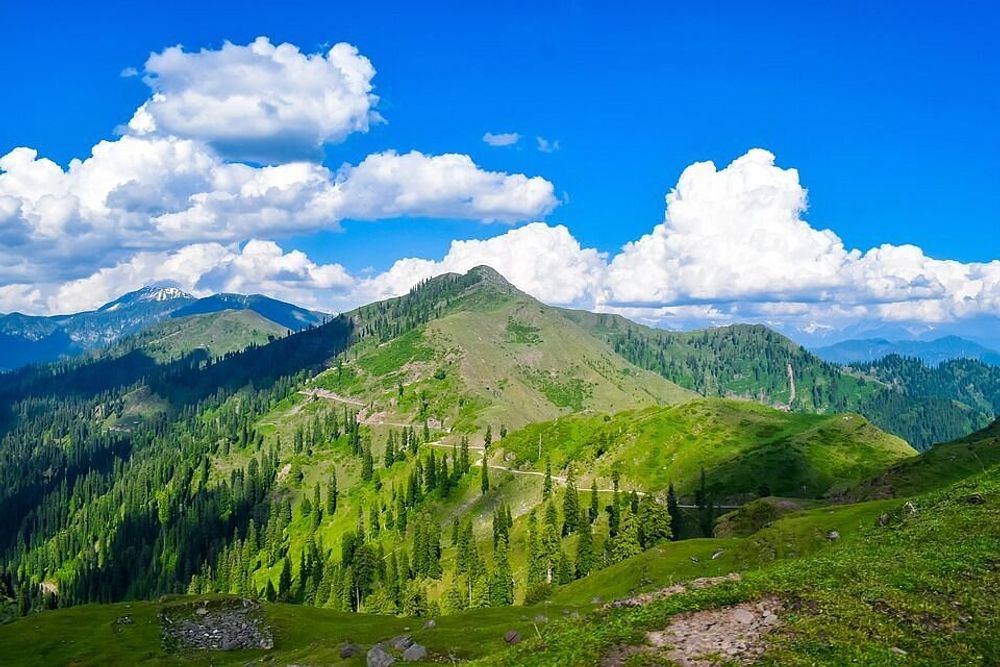 9-dniowy obóz wellness w zapierającej dech w piersiach Dolinie Kwiatów w Indiach