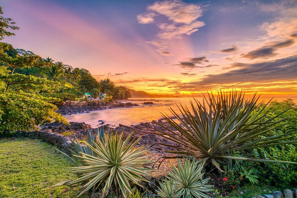 2-daagse Earth Medicine: Psilocybine-trip in Santa Teresa, Costa Rica