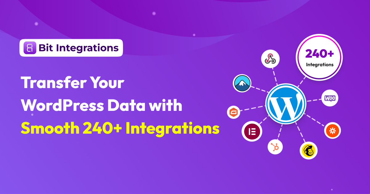 Bit Integrations Lifetime Deal 