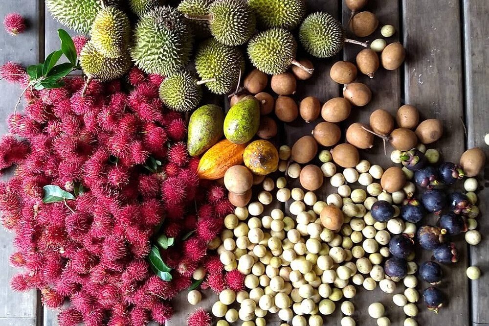 7 Day Jungle Juice Cleanse & Detox, Costa Rica