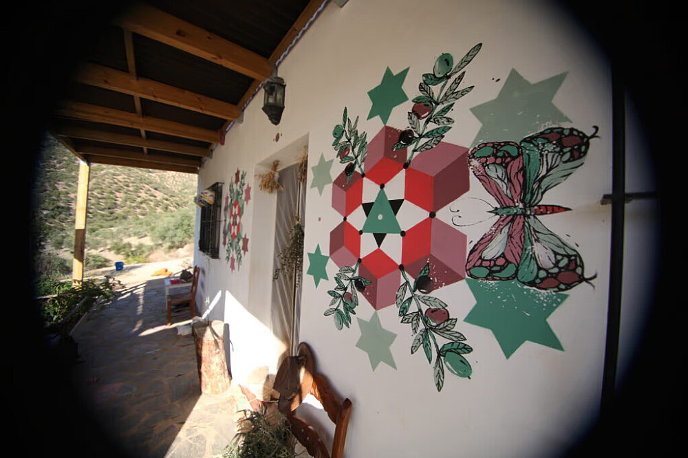 2 Day Private Psilocybin Retreat in Spain