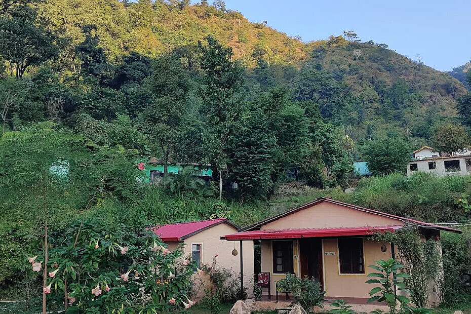 7 Day Ayurveda Retreat & Detox Rejuvenation Program in India