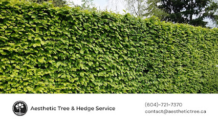 Aesthetic Tree & Hedge Services Vancouver