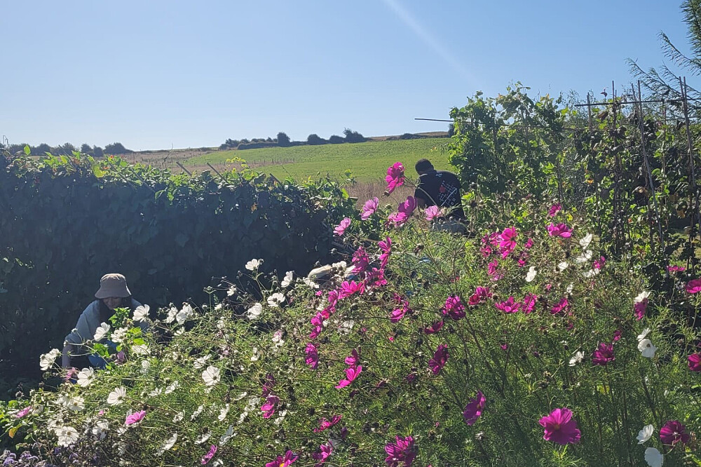 3-tägiges Wellness-Wochenendcamp in Lovebrook, Großbritannien