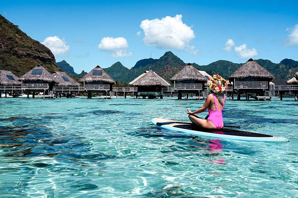 7 Tage ethisches Schwimmen mit Buckelwalen in Moorea