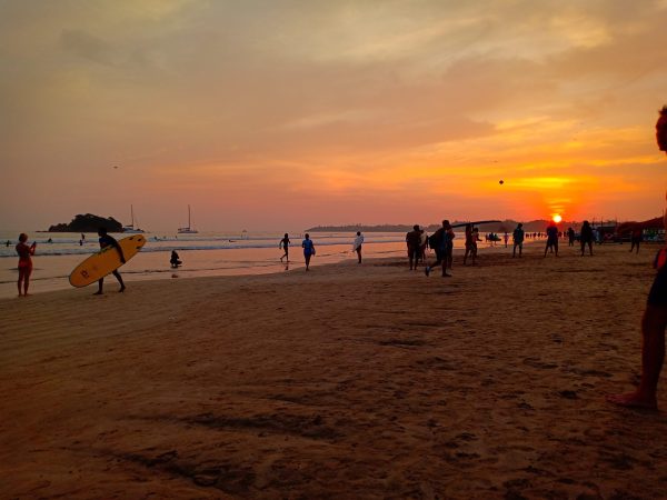 Surfers Paradise Surf School Weligama