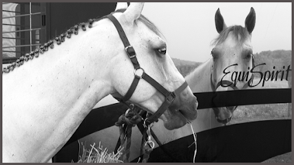 EquiSpirit Trailer Co