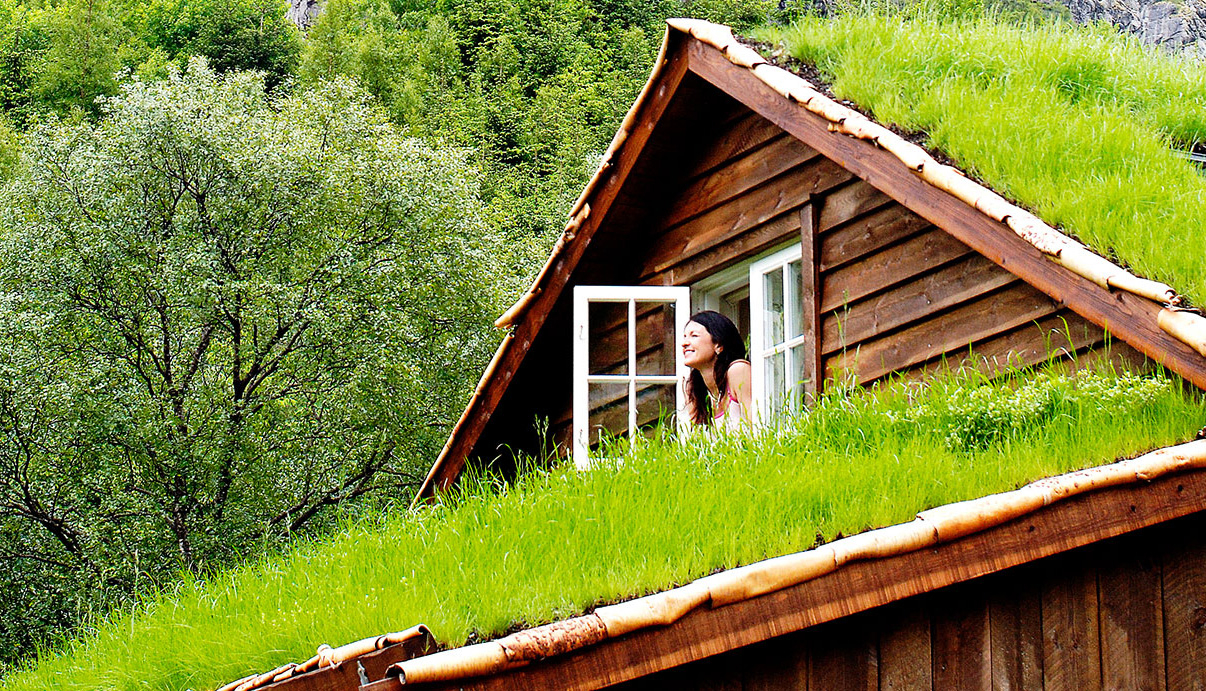 Byrkjedalstunet