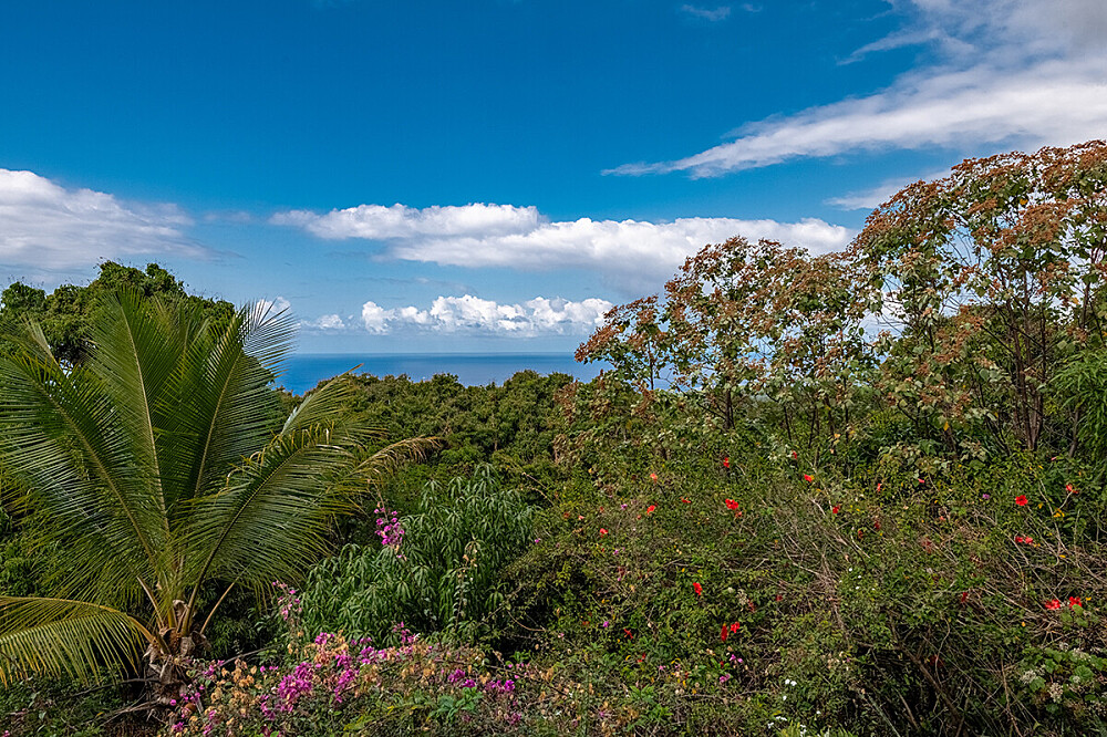 7 Day Solo Sabbatical for Burnout & Creative Rebirth in Hawaii