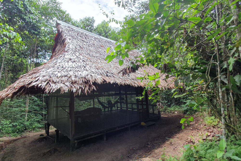 14-tägiges Ayahuasca-Retreat mit individueller Begleitung, Iquitos, Peru