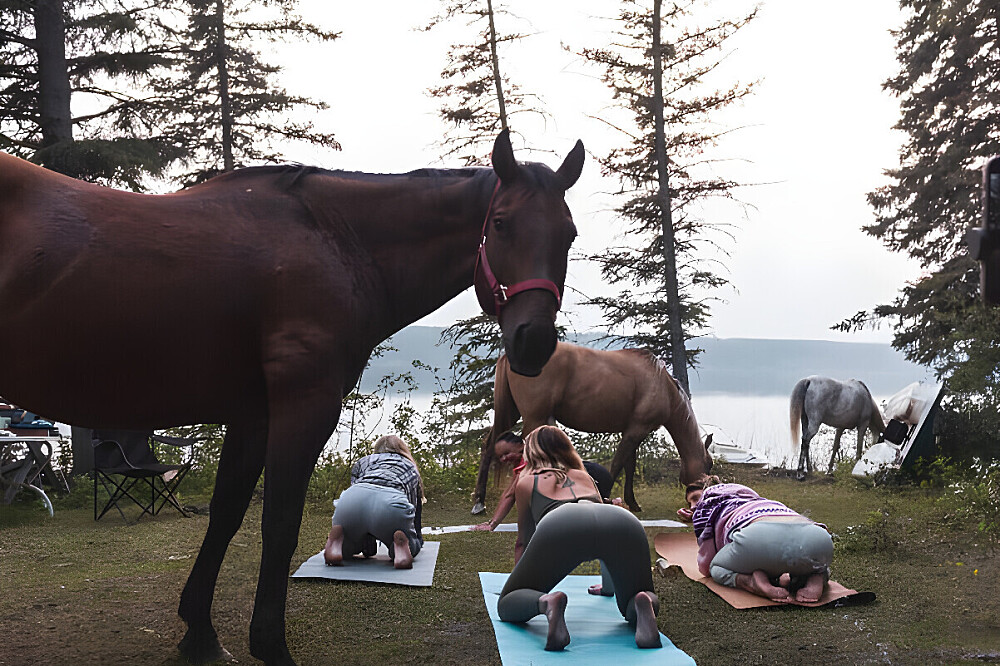 3-tägiges Wellness-Retreat für Cowgirls: Reiten, Yoga, Kanada