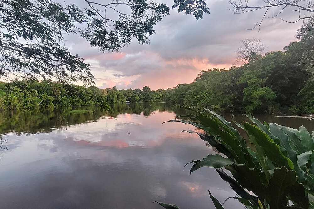 10-tägiges Ayahuasca-Integrationsretreat für tiefe Heilung in Peru