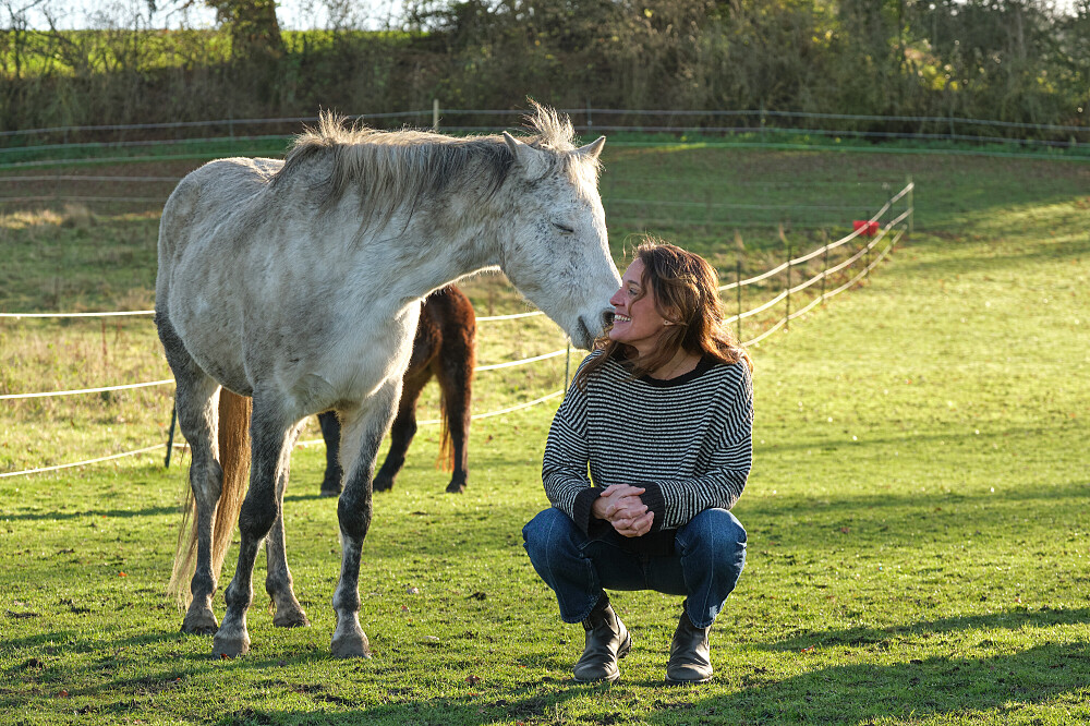 3-tägiges Retreat zur Regeneration des Nervensystems und Reittherapie in Großbritannien