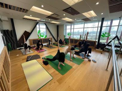 Hariyall Yoga Institute