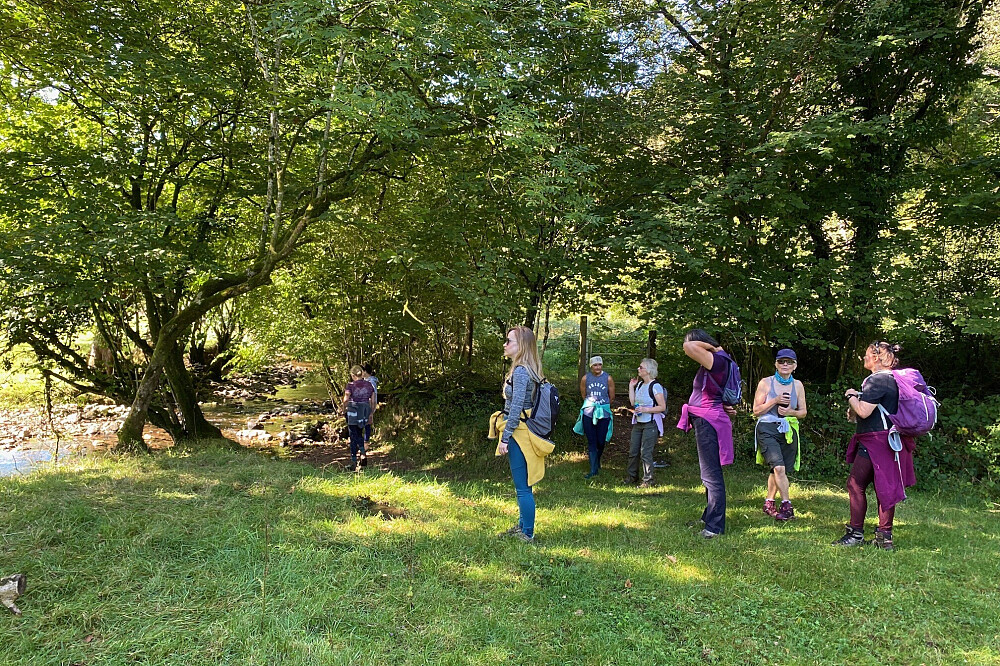 4 Day Harmonising Retreat: Transform, Ground & Renew in Wales