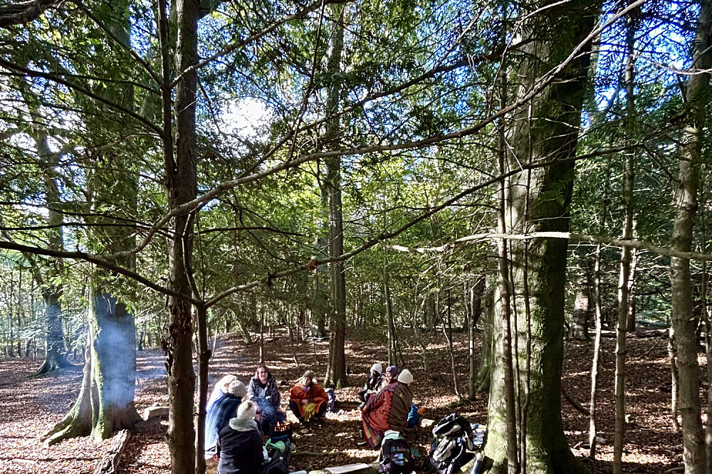 3 Day Alchemy with Nature Immersion Retreat in the UK