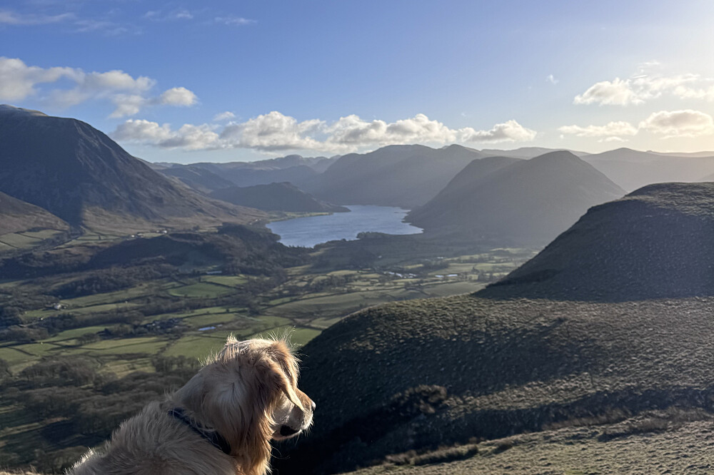 5-tägiges 1:1-Seelenverbindungs-Retreat (hundefreundlich) im Lake District, Großbritannien
