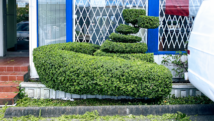 Green Bamboo Landscaping