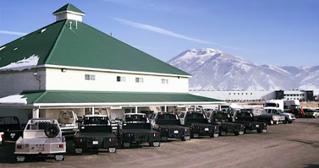 Young Truck and Trailer Logan