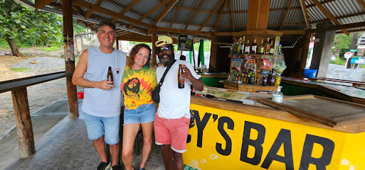 Icy's Bar