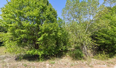 J. Wilson Stagecoach Works