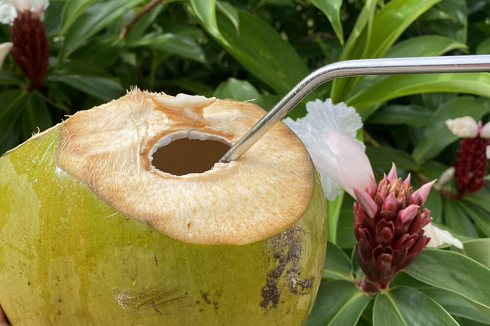 7 Day Fruitarian Juice Detox & Cleanse in Costa Rica