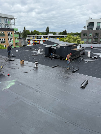 Emmax Roofing Inc