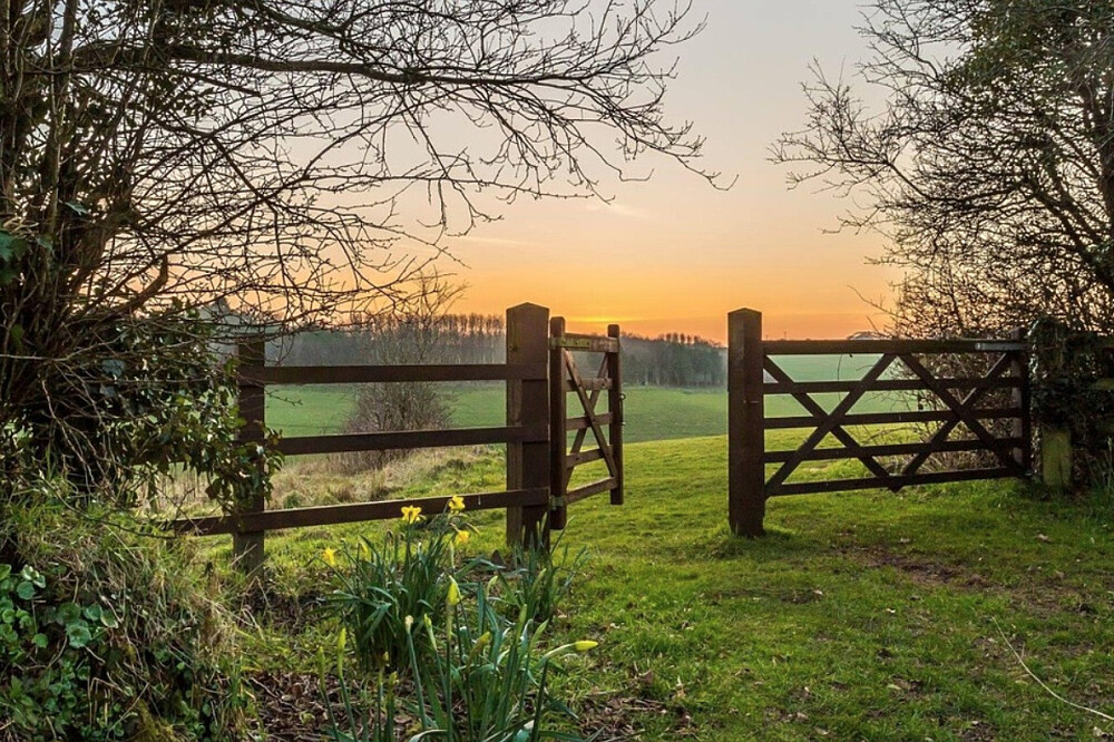 4 Day Homecoming - Somatic Yoga Retreat in Devon, UK