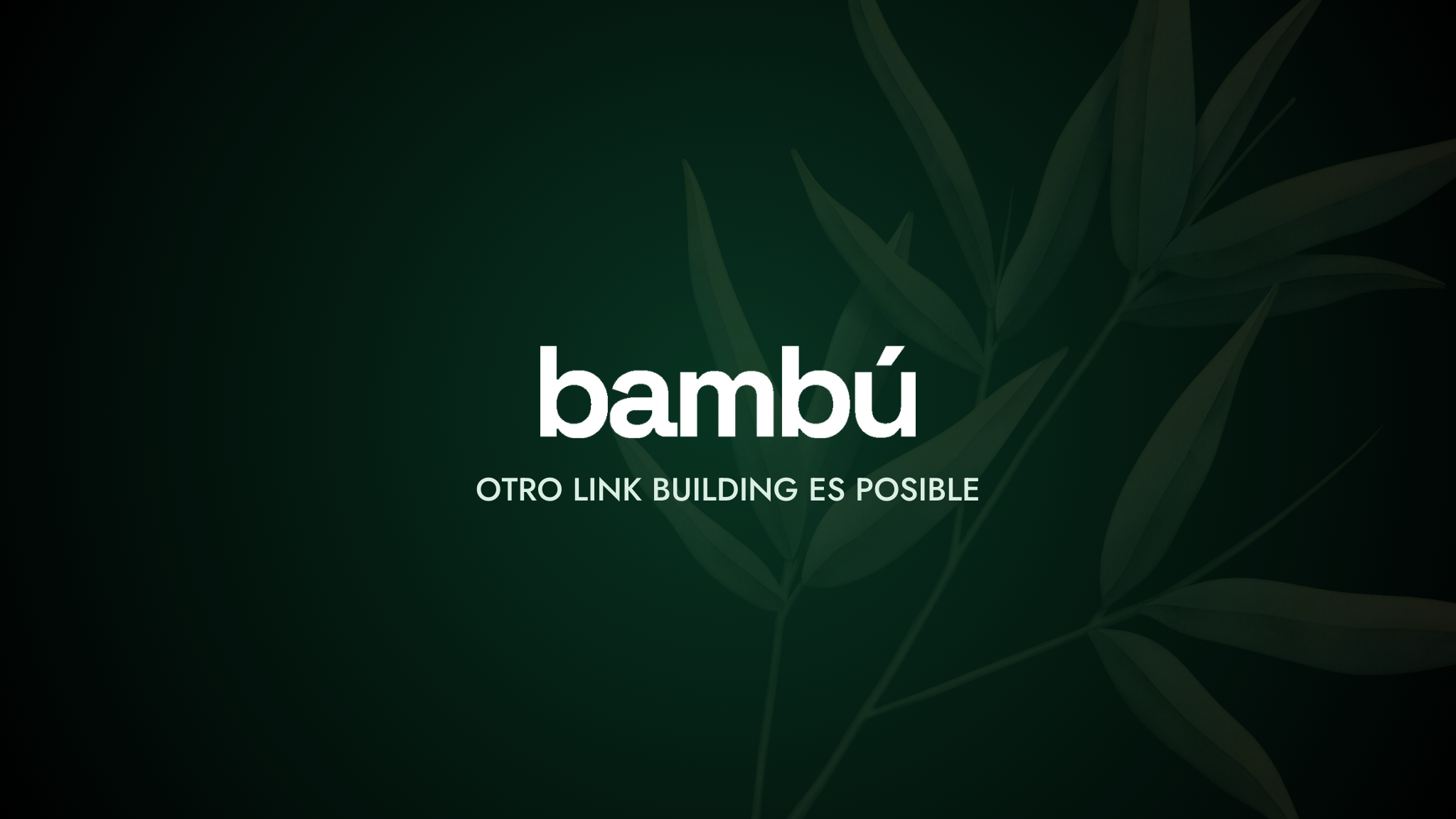 Bambu Solutions