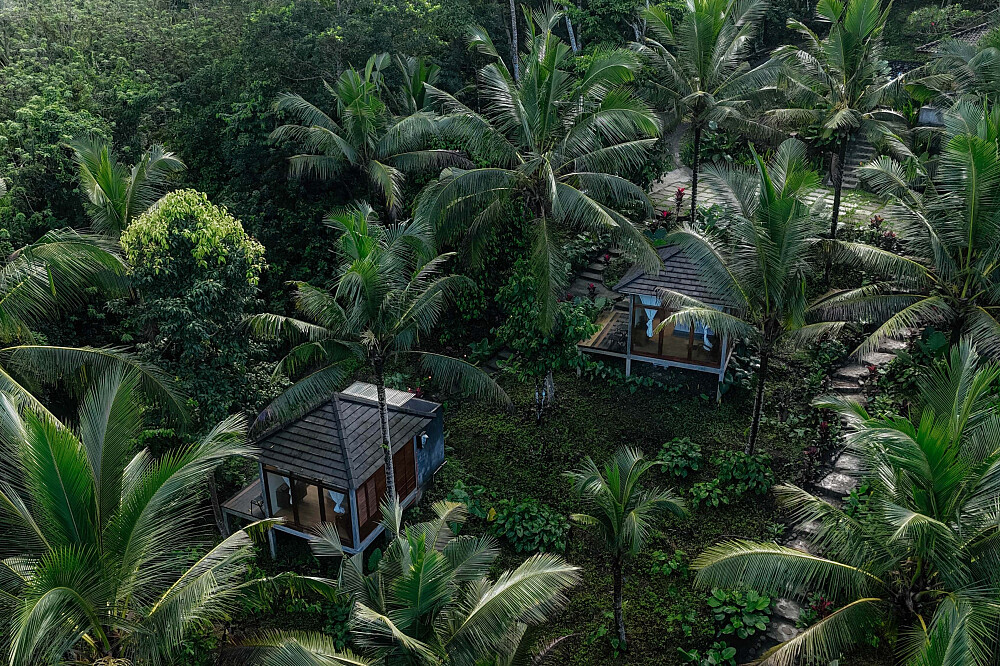 5-tägige Dschungelreise: Yoga, Spa &amp; Naturheilung in Bali