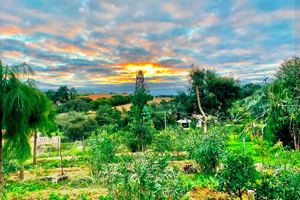 5 Day Shakti Healing Therapy in Portugal