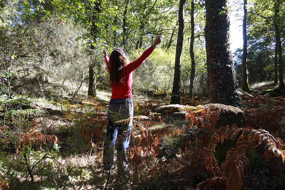 8-tägiges Yoga-Retreat für sanfte Wechseljahre, Peneda-Geres-Nationalpark