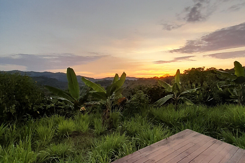 5 Day System Reset: A Detox Healing Retreat in Costa Rica