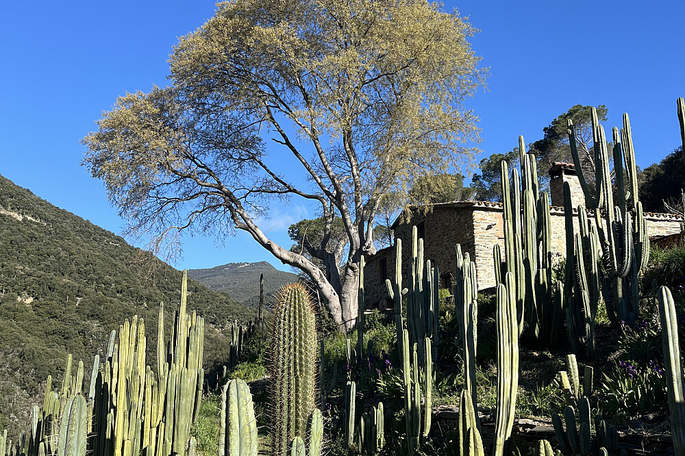 10-tägiger Schweigemarsch zur Medizin: 1:1 Mystisches Wiedergeburtsretreat, Spanien