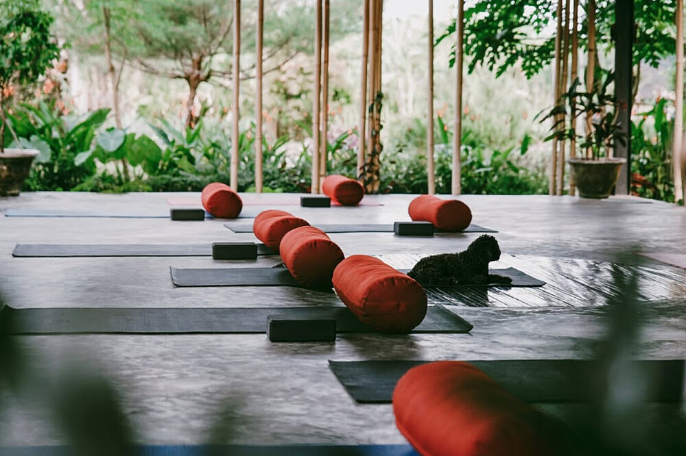 Formação de Professores de Yin Yoga (5 dias e 30 horas) em Bali