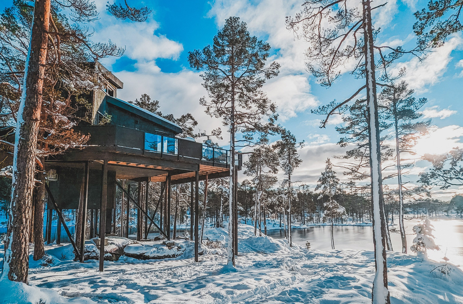 Iveland Tree Top Panorama