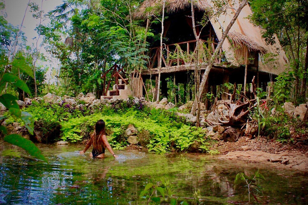 2-tägige Luxus-Psilocybin-Ayahuasca-Zeremonie: Riviera Maya, Mexiko