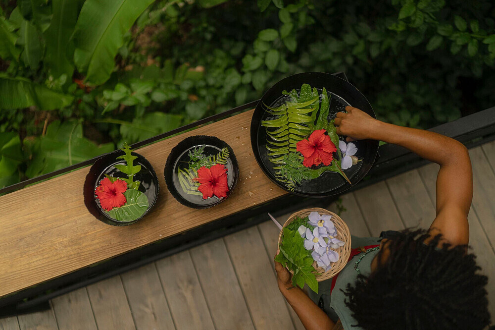 8-tägige Panchakarma-Detox-Gruppenreise in Puerto Rico