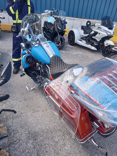 Mr Jones trailer sales